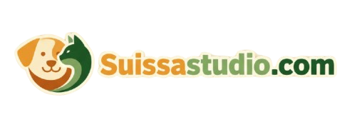 Suissa Studio